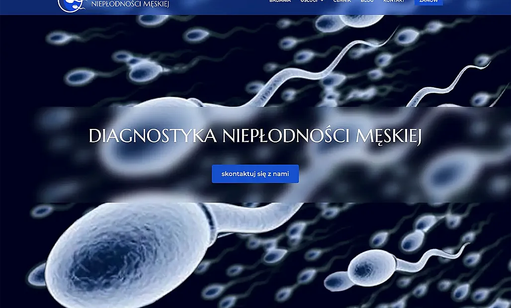 Stworzenie strony dla Diagnostyki Niepłodności Męskiej
